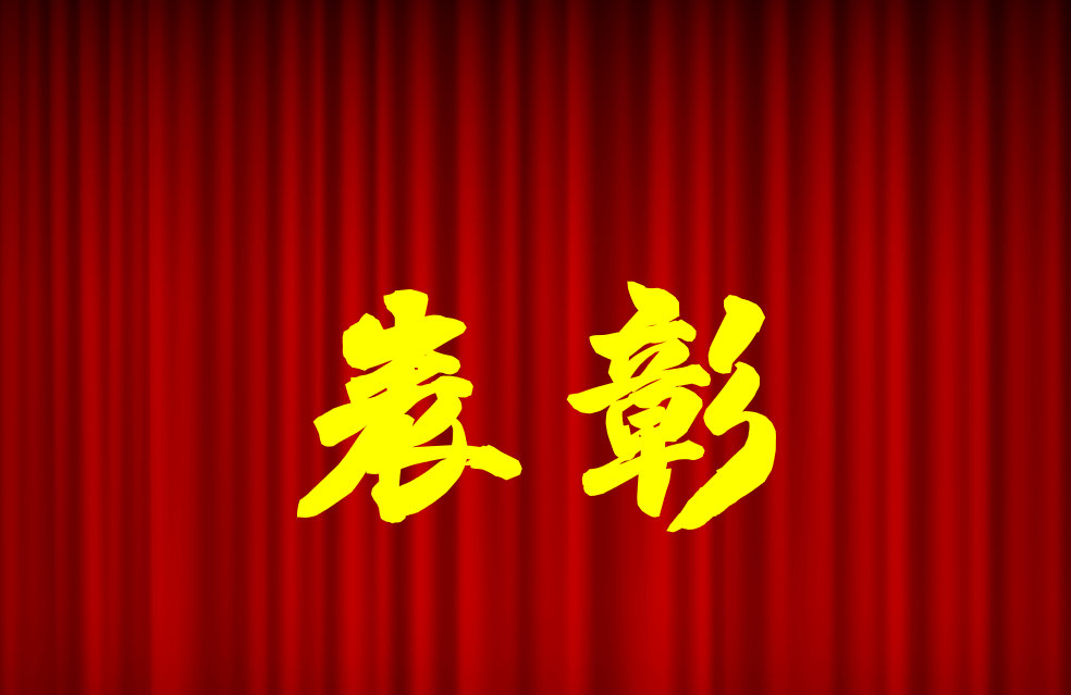 逐光前行、榮耀共鑒 | 公司2024年度表彰來啦！